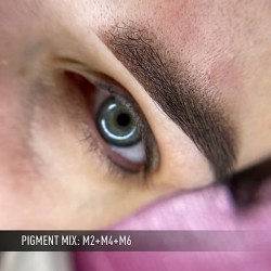 M2 DARK BROWN HAIRED