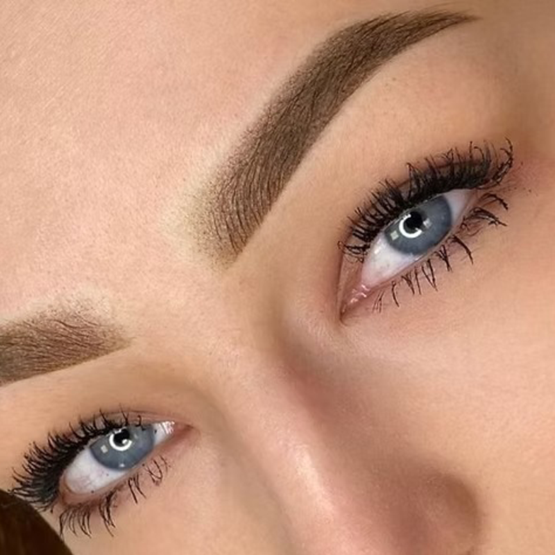 Cours en ligne powder brows